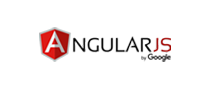 Angular JS Expert